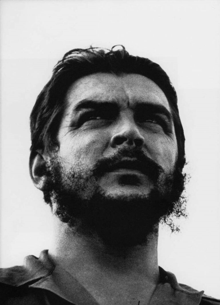 13969_oscar_zeta_acosta grende